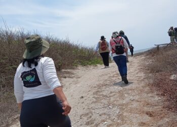 Vocería de SSPE confirma localización de cuatro fosas clandestinas