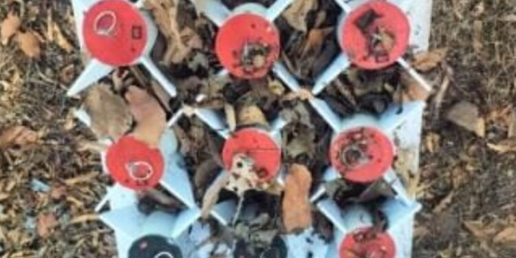 Aseguran 9 artefactos explosivos improvisados en el municipio de Concordia