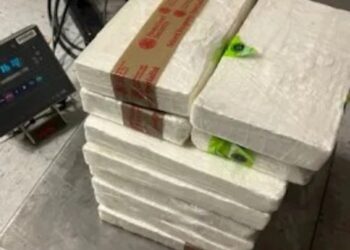 Mexicana cae con más de 10 millones de pesos en cocaína; quería cruzar a EEUU