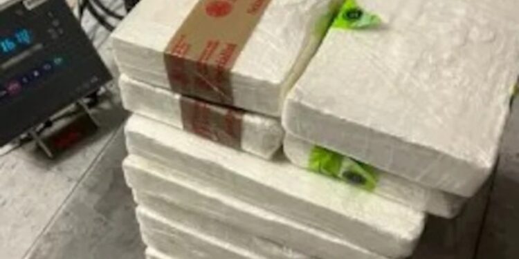 Mexicana cae con más de 10 millones de pesos en cocaína; quería cruzar a EEUU