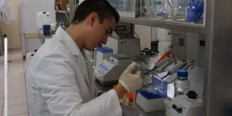 ¡Oferta educativa de calidad y pertinente! Registra la UAS un crecimiento del 31% en sus programas reconocidos en el Sistema Nacional de Posgrado