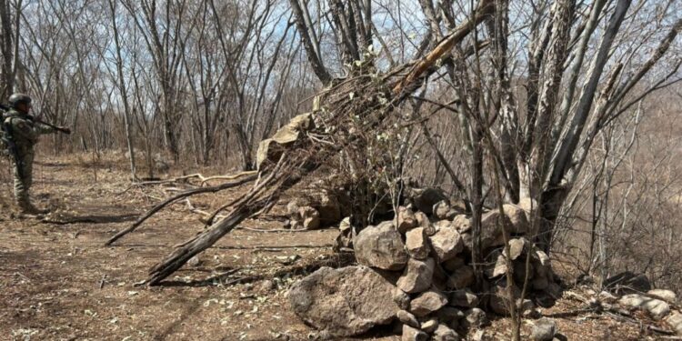 Grupo Interinstitucional localiza y destruye 3 campamentos clandestinos en Elota