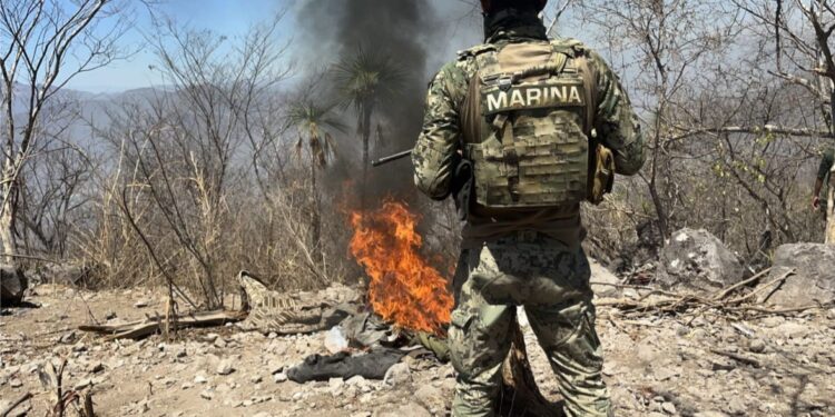 En Rosario, el Grupo Interinstitucional localiza un campamento y asegura municiones