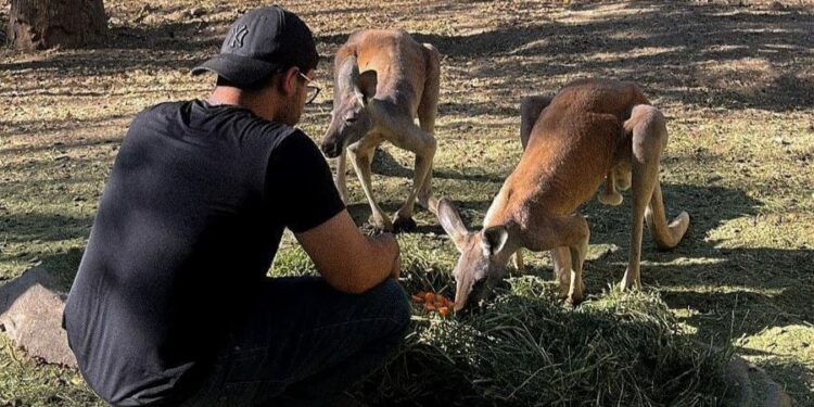 Ayuntamiento de Culiacán realiza acciones para mejorar el Zoológico de Culiacán