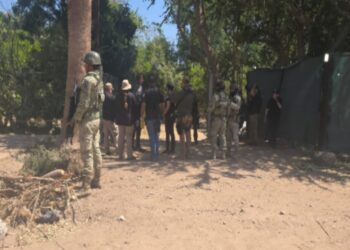 Aseguran inmueble y vehículos con reporte de robo en el municipio de Navolato