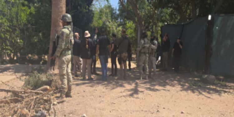 Aseguran inmueble y vehículos con reporte de robo en el municipio de Navolato