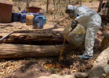 En Cosalá, Grupo Interinstitucional asegura área de concentración para la elaboración de drogas