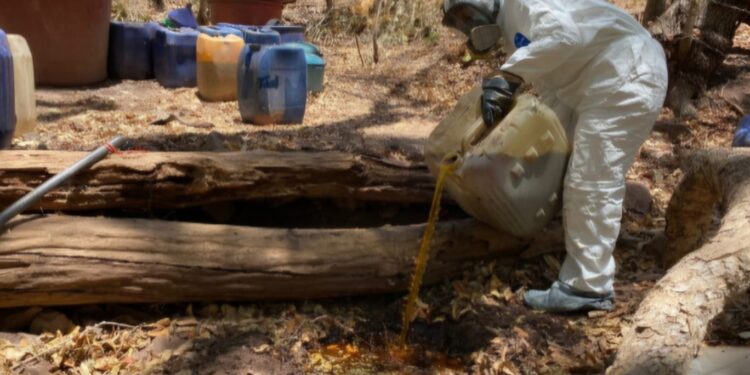 En Cosalá, Grupo Interinstitucional asegura área de concentración para la elaboración de drogas