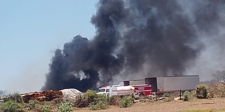 Arde completamente bodega llena de cartón nuevo en Aguaruto