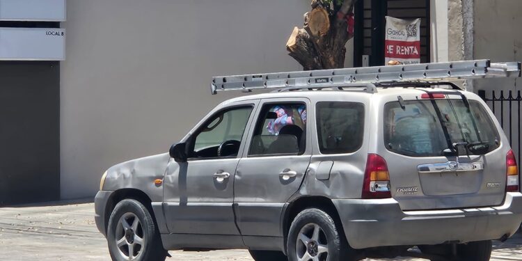 Muere pintor al caer de lo alto de una residencia en Las Quintas