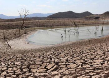 Urgen acciones para mitigar crisis por sequía en Sinaloa: Diputado Jorge González