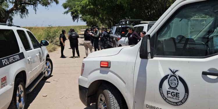 Hallan ejecutados a dos hombres en Navolato