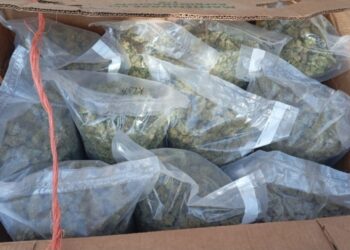 Tras denuncia ciudadana, el Grupo Interinstitucional asegura presunta droga en Culiacán