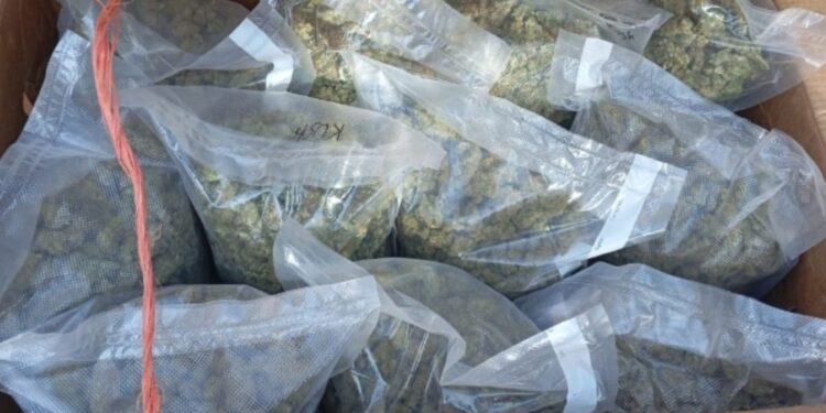 Tras denuncia ciudadana, el Grupo Interinstitucional asegura presunta droga en Culiacán