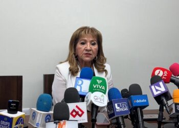 Sí existen avances en Alerta de Género: Tere Guerra
