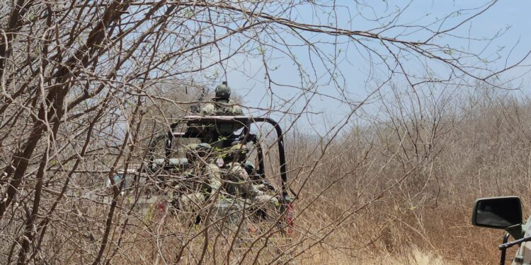 Hallan a un hombre ejecutado a balazos entre Caimaneros y Pericos