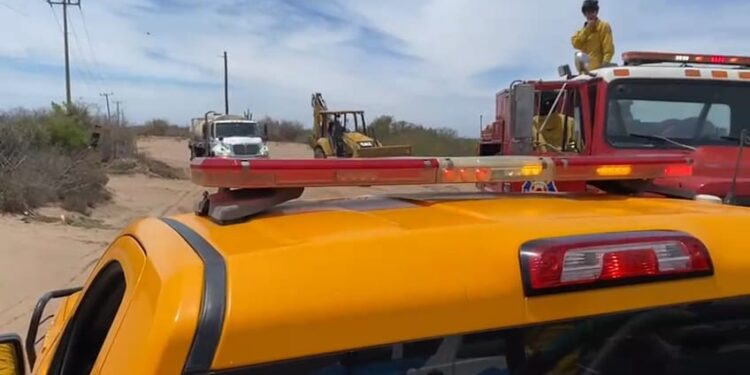 Se incendian los manglares de El Tambor, en Navolato