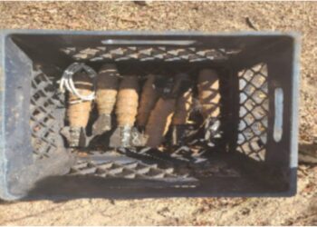 En Cosalá, Grupo Interinstitucional asegura artefactos explosivos