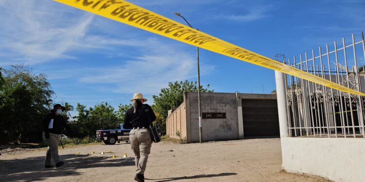 Asesinan a chófer de urbano cuando descasaba a la sombra de un árbol
