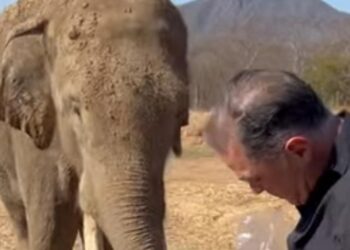 Por violencia Ostok, la casa de Big Boy y Bireki, cierra sus puertas en Culiacán y se mudan a Mazatlán