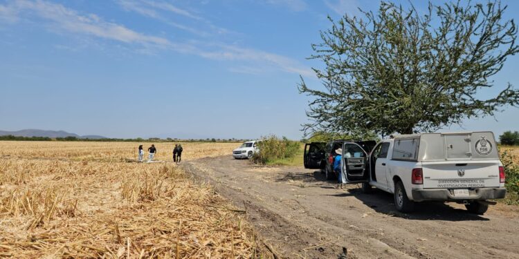 Hallan restos óseos en el ejido El Corazón en Costa Rica, Sinaloa