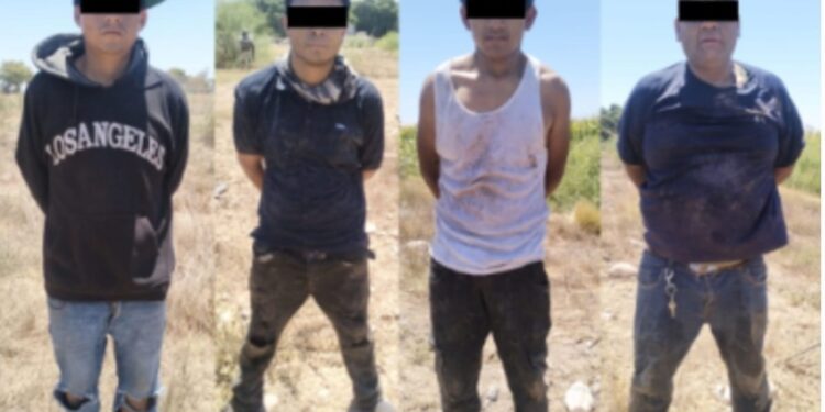 Aseguran a 4 civiles, armas, cargadores y cartuchos en Villa Juárez, Navolato