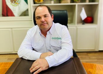 Necesario un ordenamiento en el mercado del maíz: Jesús Rojo Plascencia