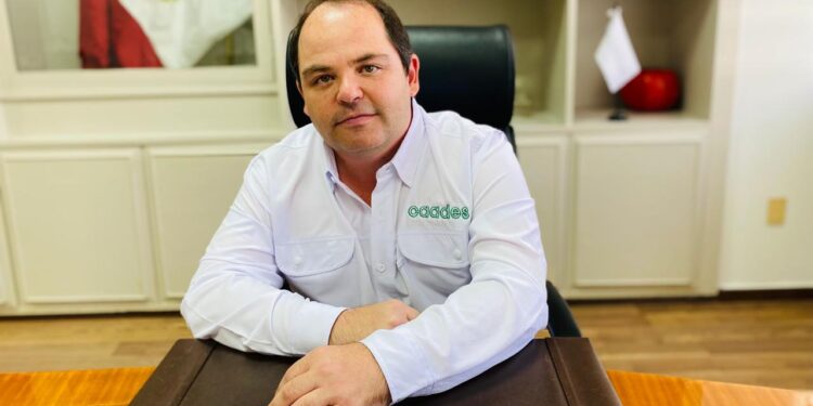 Necesario un ordenamiento en el mercado del maíz: Jesús Rojo Plascencia