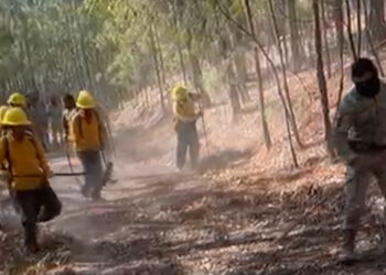 Incendio forestal de Potrero de Los Medina  está controlado: Ayuntamiento Badiraguato