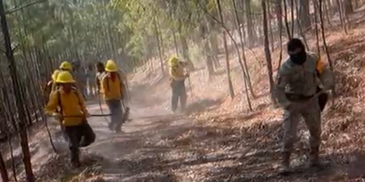 Incendio forestal de Potrero de Los Medina  está controlado: Ayuntamiento Badiraguato