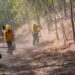 Incendio forestal de Potrero de Los Medina  está controlado: Ayuntamiento Badiraguato