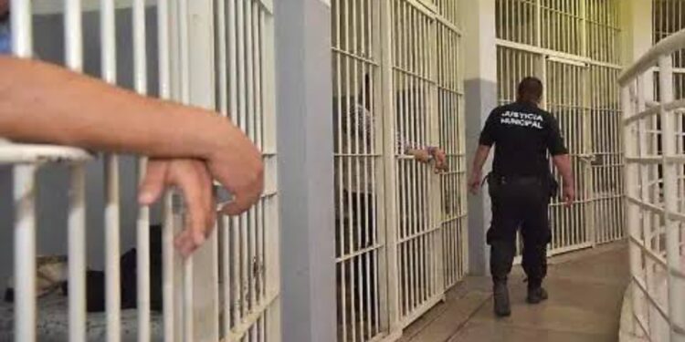 Morena propone 50 años de cárcel contra homicidas de niños y policías en Sinaloa