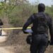 Cuatro homicidios, 18 vehículos robados y dos “levantados” se registraron ayer en Sinaloa