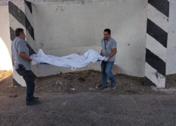 Hallan asesinada a una mujer en la autopista Benito Juárez “La Costera”, en Caimanero, Pericos