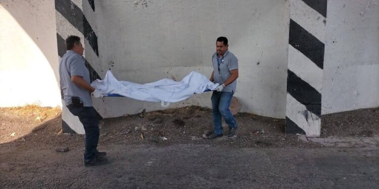 Hallan asesinada a una mujer en la autopista Benito Juárez “La Costera”, en Caimanero, Pericos