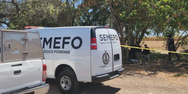 De un balazo en la cabeza asesinan a un hombre en Villa Juárez, Navolato