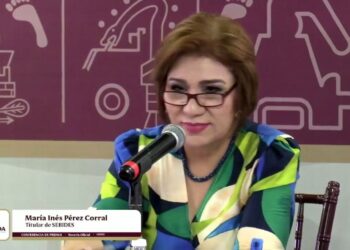 Sinaloa apuesta por el bienestar ambiental con acciones recurrentes y comunitarias: SEBIDES