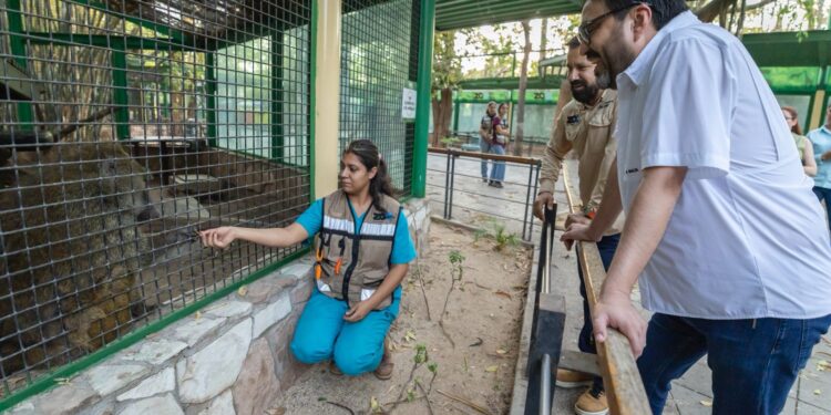 Invertiremos para seguir mejorando las instalaciones del Zoológico y garantizar el bienestar animal: Juan de Dios Gámez