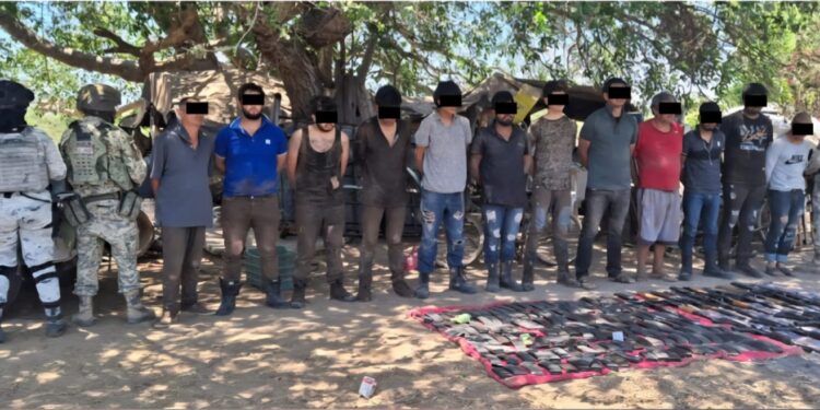 Detienen a 12 personas en Elota