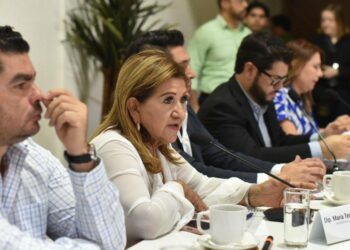 Hay transparencia y resultados en aplicación de crédito para obra pública: Morena, PVEM, PRI y PAS