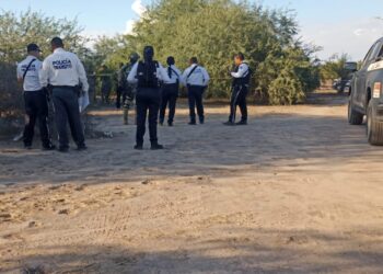 Localizan el cuerpo sin vida de un hombre en avanzado estado de descomposición en Navolato 