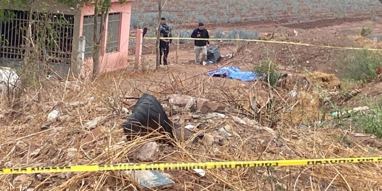 Dos hombres fueron hallados asesinados a balazos y con huellas de tortura en El Tamarindo