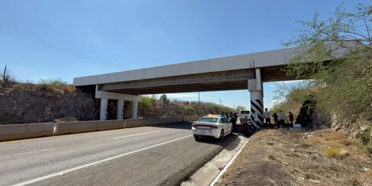 Hallan asesinado a un joven bajo el puente de La Guamuchilera