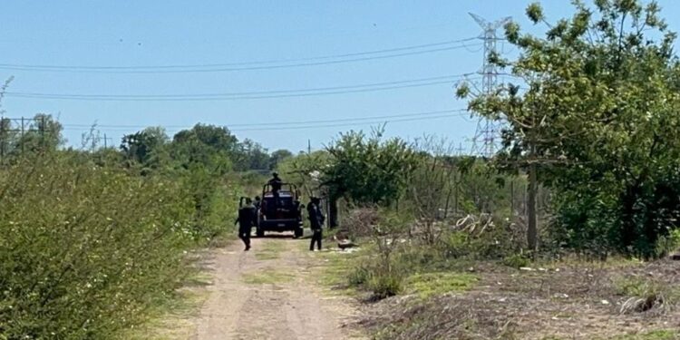 Hallan a un hombre asesinado a balazos y con huellas de violencia en Navolato