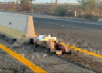 Hallan a un hombre asesinado en la Autopista Benito Juárez