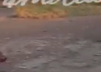 Localizan a tres hombres asesinados y con huellas de tortura en “El Tigre”