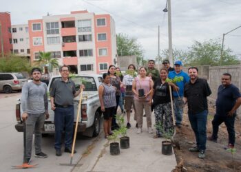 Vecinos y Ayuntamiento rehabilitan área pública en Lomas de San Isidro