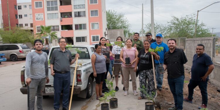 Vecinos y Ayuntamiento rehabilitan área pública en Lomas de San Isidro