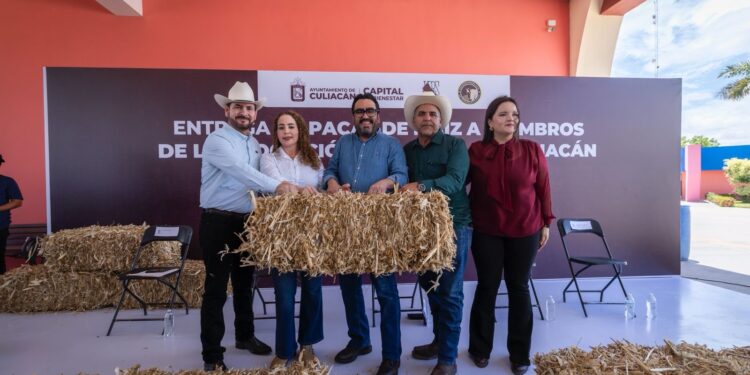 Alcalde de Culiacán apoya con pacas de maíz  a ganaderos