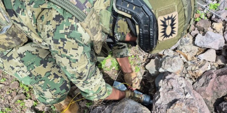 Grupo Interinstitucional asegura artefactos explosivos y municiones en Escuinapa